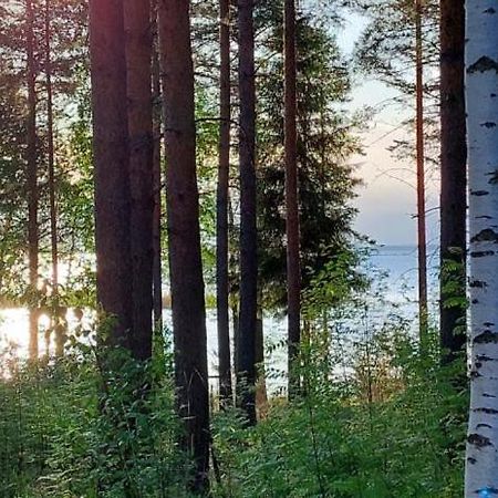 Pulla Karvisen Maatilamatkailussa Ruokola Luaran gambar