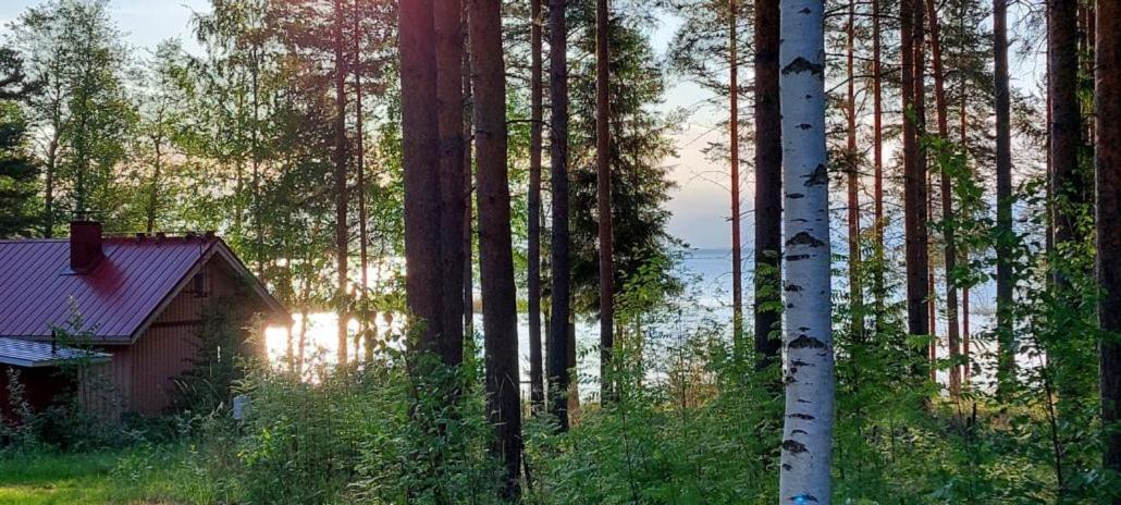 Pulla Karvisen Maatilamatkailussa Ruokola Luaran gambar